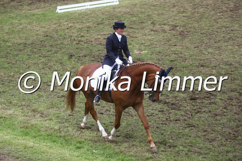 006M5256_Dressurpferde L.JPG